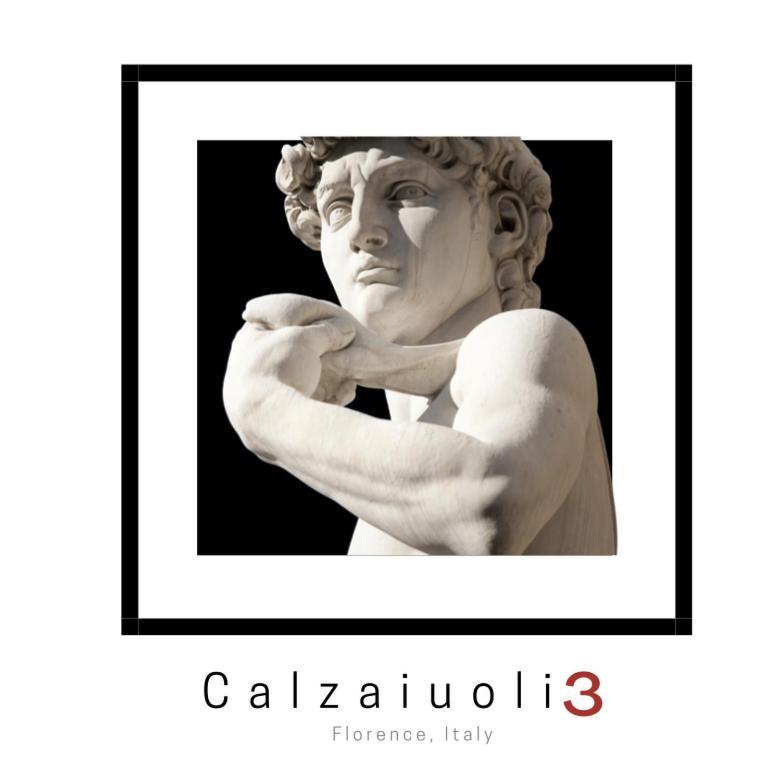 Calzaiuoli3 Luxury Flat In The City Center Of Florencie Exteriér fotografie
